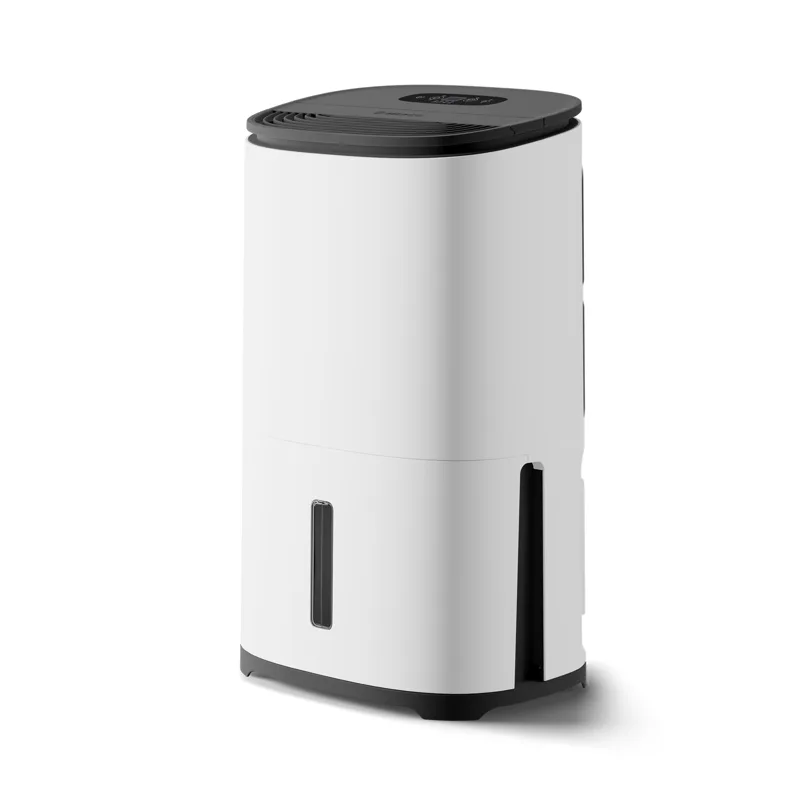 MeacoDry Arete One 20L dehumidifier and air purifier in white with black top